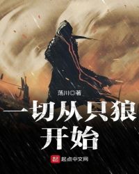 一切从只狼开始章节列表