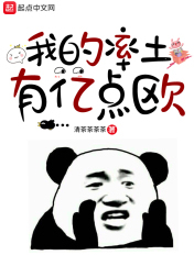 我的率土有亿点欧章节列表