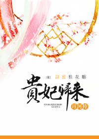 贵妃归来章节列表