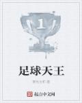 足球天王章节列表