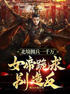 北境拥兵一千万，女帝跪求别造反章节列表