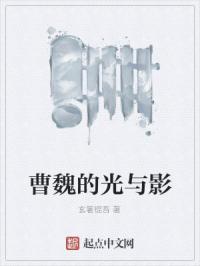 曹魏的光与影章节列表