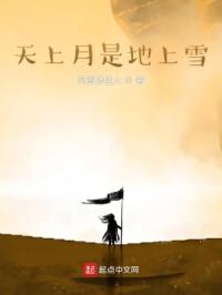 天上月是地上雪章节列表