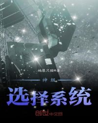 神级选择系统章节列表