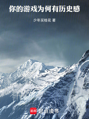 你的游戏为何有历史感章节列表