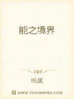 能之境界章节列表