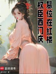 权臣西门庆，篡位在红楼章节列表