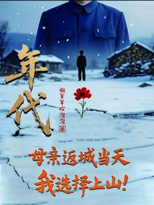 年代：母亲返城当天，我选择上山章节列表