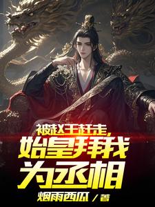 被赵王赶走，始皇拜我为丞相章节列表