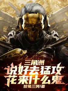 三角洲：说好去猛攻，花来什么鬼章节列表