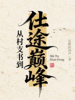 从村支书到仕途巅峰章节列表