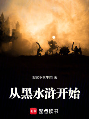 从黑水浒开始章节列表