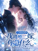 八年暗恋错付，我离婚二嫁你急什么？章节列表