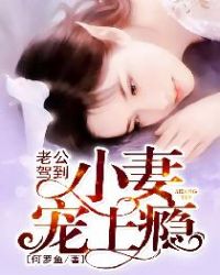 老公驾到：小妻宠上瘾章节列表