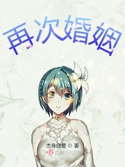 再次婚姻章节列表