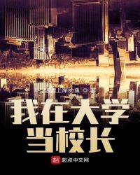 我在大学当校长章节列表