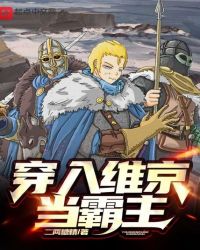 穿入维京当霸主章节列表